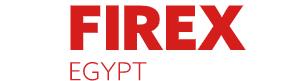 埃及安防及消防展览会 IFSEC FIREX 2023